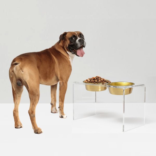 Hiddin Tall Clear Stainless Steel Elevated Double Dog Bowl