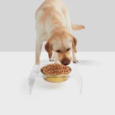 Show full view: Hiddin Clear Single Elevated Dog & Cat Feeder, Gold, 6.5-cup slide 5 of 8