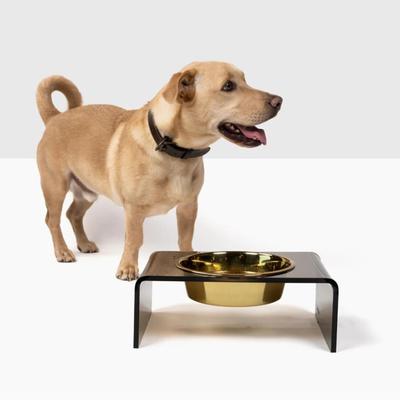 Show full view: Hiddin Bronze Single Dog & Cat Elevated Bowl, Gold, 6.5-cup slide 4 of 8