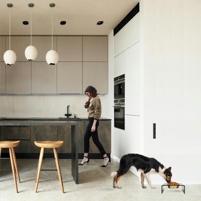 Show full view: Hiddin Bronze Single Dog & Cat Elevated Bowl, Gold, 6.5-cup slide 3 of 8