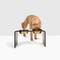 Show in main carousel: Hiddin Bronze Acrylic Double Elevated Dog & Cat Bowl, Gold, 6.5-cup slide 7 of 8