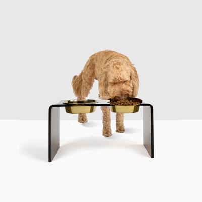 Show full view: Hiddin Bronze Acrylic Double Elevated Dog & Cat Bowl, Gold, 6.5-cup slide 7 of 8