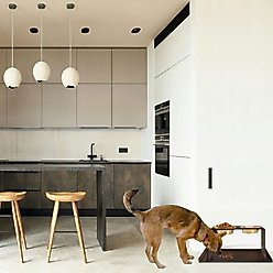 Hiddin Bronze Acrylic Double Elevated Dog & Cat Bowl, Gold, 6.5-cup slide 2 of 8