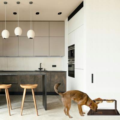 Show full view: Hiddin Bronze Acrylic Double Elevated Dog & Cat Bowl, Gold, 6.5-cup slide 2 of 8