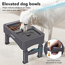 UPSKY 2-in-1 Adjustable Raised Non-Skid Slow Feeder Dog Bowls, Grey slide 2 of 8