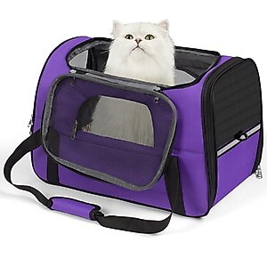 Niubya Soft-Sided Washable Airline-Approved Dog & Cat Carrier, Purple, 16-in