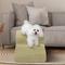 Show in main carousel: Niubya Extra Wide Foam Dog Stairs, Camel, 2 Steps slide 6 of 7
