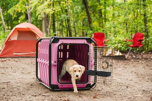 Show full view: Mammoth Guardian Dog Kennel, Pink Shock slide 10 of 12