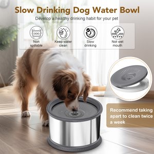 UPSKY Stainless Steel Slow Feeder Dog Water Bowl with Anti-Slip Mat, 1.6-gal, Grey