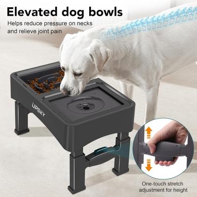 Show full view: UPSKY 2-in-1 Adjustable Raised Non-Skid Slow Feeder Dog Bowls, Black slide 7 of 10