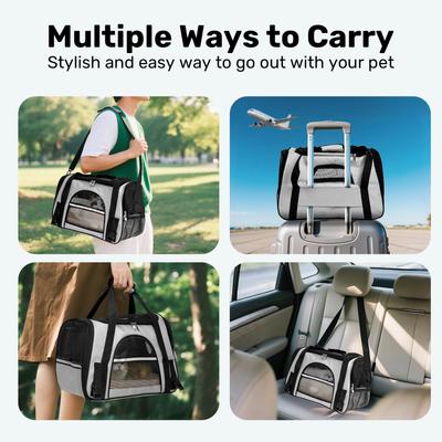 Show full view: Niubya Soft-Sided Washable Airline-Approved Dog & Cat Carrier, Light Grey, 16-in slide 8 of 10