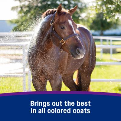 Show full view: Farnam Vetrolin White N' Brite Horse Shampoo, 32-fl oz bottle slide 6 of 12