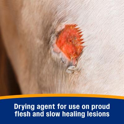 Show full view: Farnam Wonder Dust Dog & Horse Wound Care Powder, 4-oz bottle slide 5 of 11
