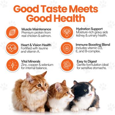 Show full view: Scoochie Pet Mixed Variety Pack Premium Gravy Salmon & Chicken Stew Wet Cat Food Topping, 3.5-oz pouch, case of 4 slide 6 of 10