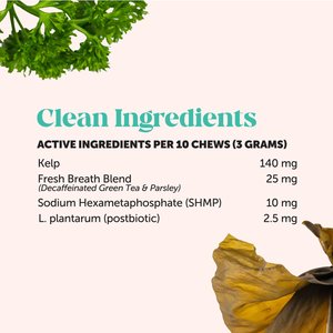 Pet Honesty Fresh Breath Chicken Flavor Dental Bites Supplement for Cats, 3.7-oz pouch