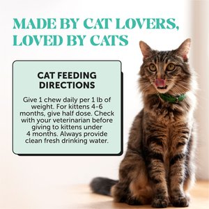 Pet Honesty Fresh Breath Chicken Flavor Dental Bites Supplement for Cats, 3.7-oz pouch