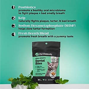 Pet Honesty Fresh Breath Chicken Flavor Dental Bites Supplement for Cats, 3.7-oz pouch