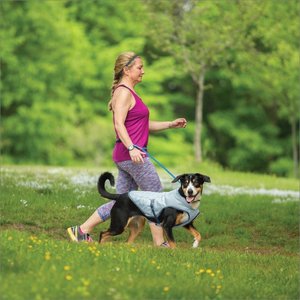 Kurgo Core Cooling Dog Vest, Large