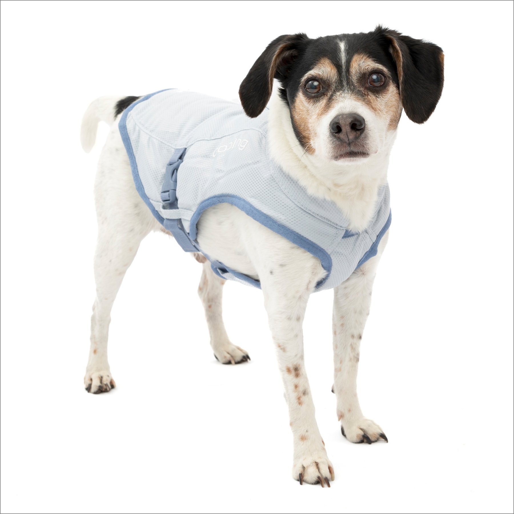 Kurgo Core Cooling Dog Vest, Small