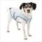 Show in main carousel: Kurgo Core Cooling Dog Vest, Small slide 1 of 12