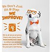 Show in main carousel: Zesty Paws Probiotic Bites Pumpkin Flavored Soft Chews Gut Flora & Digestive Supplement for Dogs, 10 count slide 2 of 10