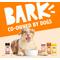Show in main carousel: BARK Bada Bing! Bada Beef! High Protein Limited Ingredient Dry Dog Food Topper, 4.6-oz bottle, 1 count slide 8 of 9