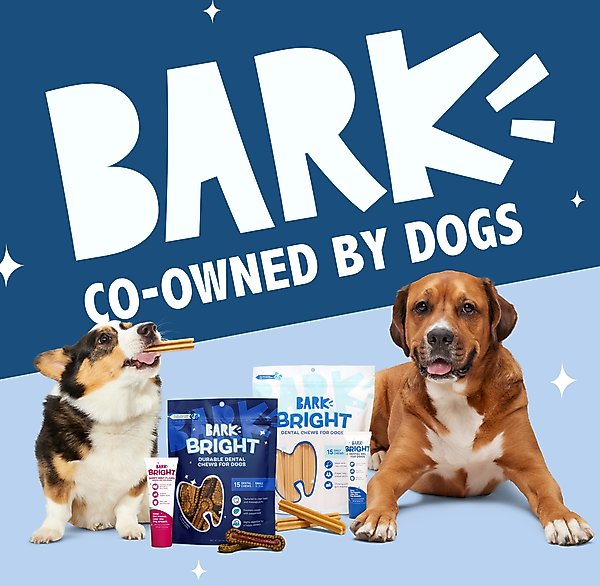 Show full view: BARK Bright Durable Dental Kit: Medium Mint Flavored Dental Dog Treats + Chicken & Thyme Flavored Dog Dental Gel, 15 count, 2.5-oz gel slide 8 of 8
