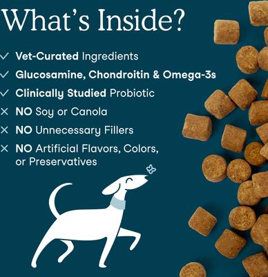 Show full view: Fera Pets Multivitamin Soft Chews Supplement for Dogs, 90 count slide 4 of 12