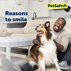 PetSafe Closing Panel Dog & Cat Door Cover, Tan, Large slide 2 of 5