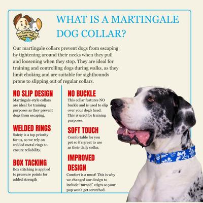 Show full view: Country Brook Petz HossFit Jr Hawaiian Wide Martingale Dog Collar, X-Large, Royal Blue slide 8 of 10