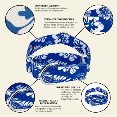 Show full view: Country Brook Petz HossFit Jr Hawaiian Wide Martingale Dog Collar, X-Large, Royal Blue slide 9 of 10