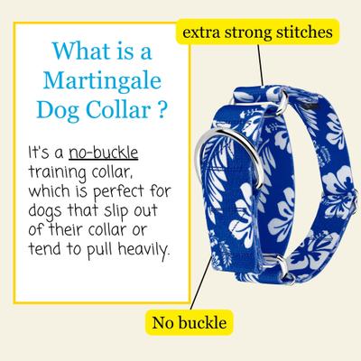 Show full view: Country Brook Petz HossFit Jr Hawaiian Wide Martingale Dog Collar, X-Large, Royal Blue slide 6 of 10
