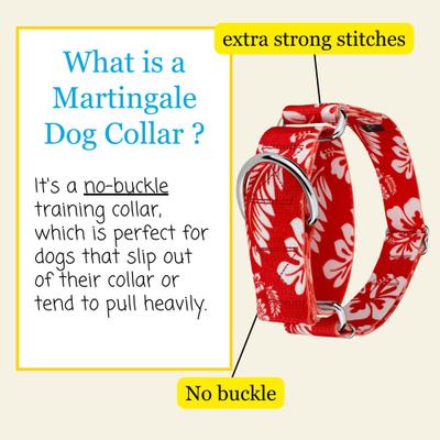 Show full view: Country Brook Petz HossFit Jr Hawaiian Wide Martingale Dog Collar, Large, Red slide 5 of 10