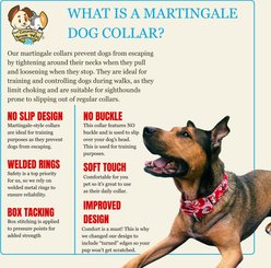 Country Brook Petz HossFit Jr Hawaiian Wide Martingale Dog Collar, Medium, Red slide 2 of 9