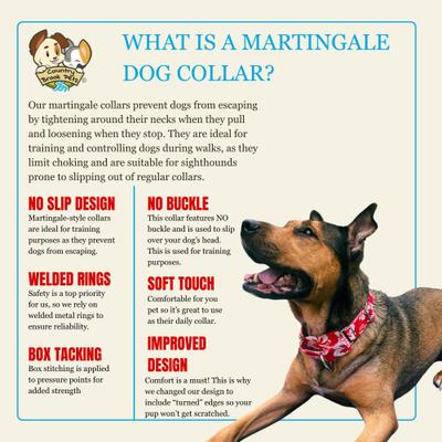 Show full view: Country Brook Petz HossFit Jr Hawaiian Wide Martingale Dog Collar, Large, Red slide 7 of 10