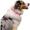 Show in main carousel: Country Brook Petz HossFit Jr Hawaiian Wide Martingale Dog Collar, Pink, Medium slide 4 of 10