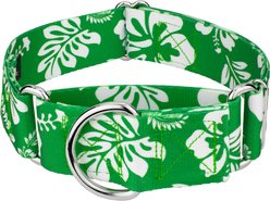 Country Brook Petz HossFit Jr Hawaiian Wide Martingale Dog Collar, Large, Kelly Green