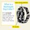 Show in main carousel: Country Brook Petz HossFit Jr Hawaiian Wide Martingale Dog Collar, Black, Large slide 3 of 9