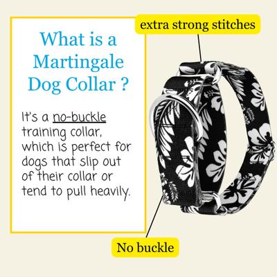 Show full view: Country Brook Petz HossFit Jr Hawaiian Wide Martingale Dog Collar, Black, Large slide 3 of 9