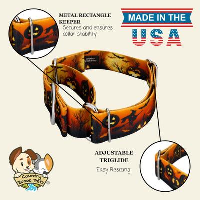 Show full view: Country Brook Petz HossFit Jr Midnight Fright Wide Martingale Dog Collar, Orange, Large: 18 to 26-in neck, 1.5-in wide slide 7 of 8