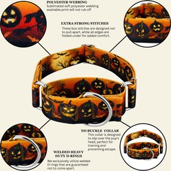 Country Brook Petz HossFit Jr Midnight Fright Wide Martingale Dog Collar, Orange, X-Large: 23 to 31-in neck, 1.5-in wide slide 2 of 8