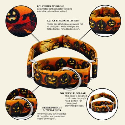 Show full view: Country Brook Petz HossFit Jr Midnight Fright Wide Martingale Dog Collar, Orange, Large: 18 to 26-in neck, 1.5-in wide slide 6 of 8