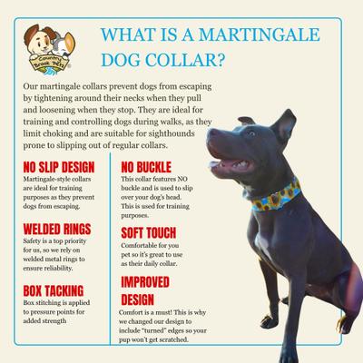 Show full view: Country Brook Petz HossFit Jr Vintage Roses Wide Martingale Dog Collar, Medium slide 6 of 9