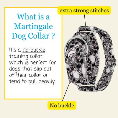 Show full view: Country Brook Petz HossFit Jr Phantom Skulls Wide Martingale Dog Collar, Medium slide 4 of 9