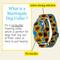 Show in main carousel: Country Brook Petz HossFit Jr Sunflowers Wide Martingale Dog Collar, Yellow, Medium: 15 to 21-in neck, 1.5-in wide slide 6 of 9