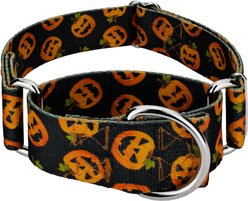 Country Brook Petz HossFit Jr Happy Jack Wide Martingale Dog Collar, Medium