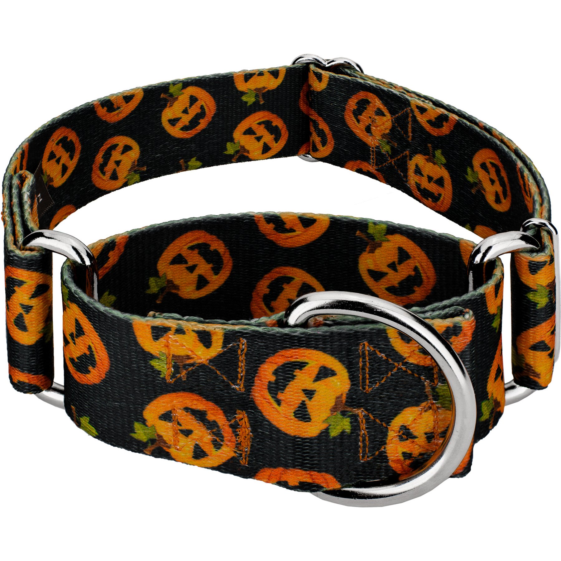 Country Brook Petz HossFit Jr Happy Jack Wide Martingale Dog Collar, Medium
