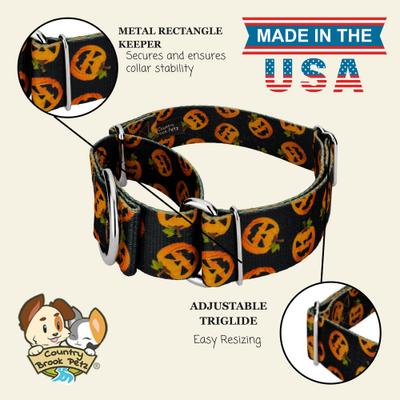 Show full view: Country Brook Petz HossFit Jr Happy Jack Wide Martingale Dog Collar, Medium slide 2 of 10