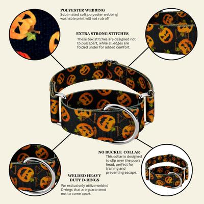 Show full view: Country Brook Petz HossFit Jr Happy Jack Wide Martingale Dog Collar, Medium slide 9 of 10