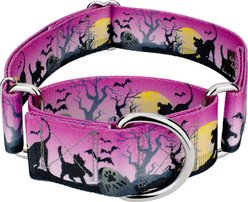 Country Brook Petz HossFit Jr Graveyard Wide Martingale Dog Collar, X-Large